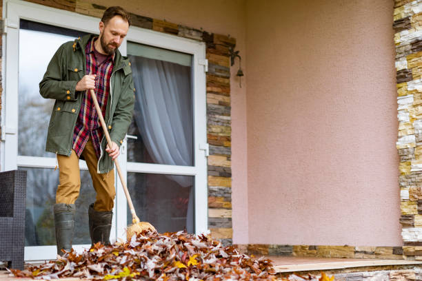 Best Construction Debris Removal  in Vernon Hls, IL